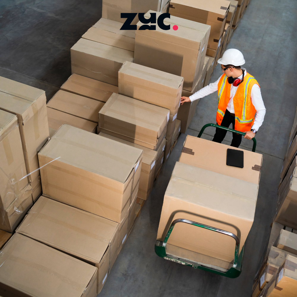 logistica